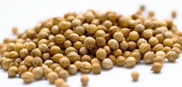Coriander Seed Oil For Cooking And Health Benefits